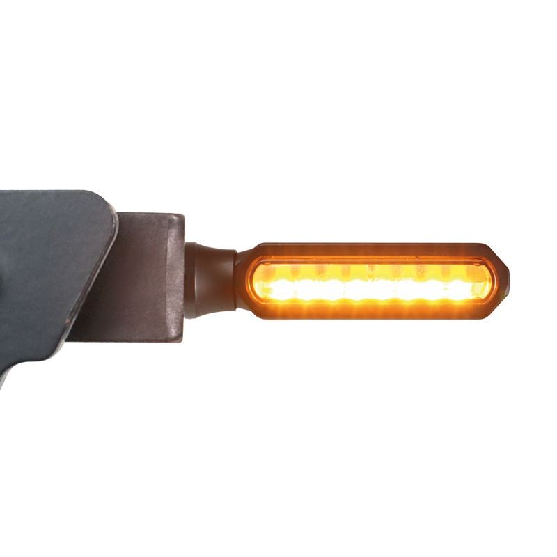 Clignotants à LED Multifonction Master Arrière